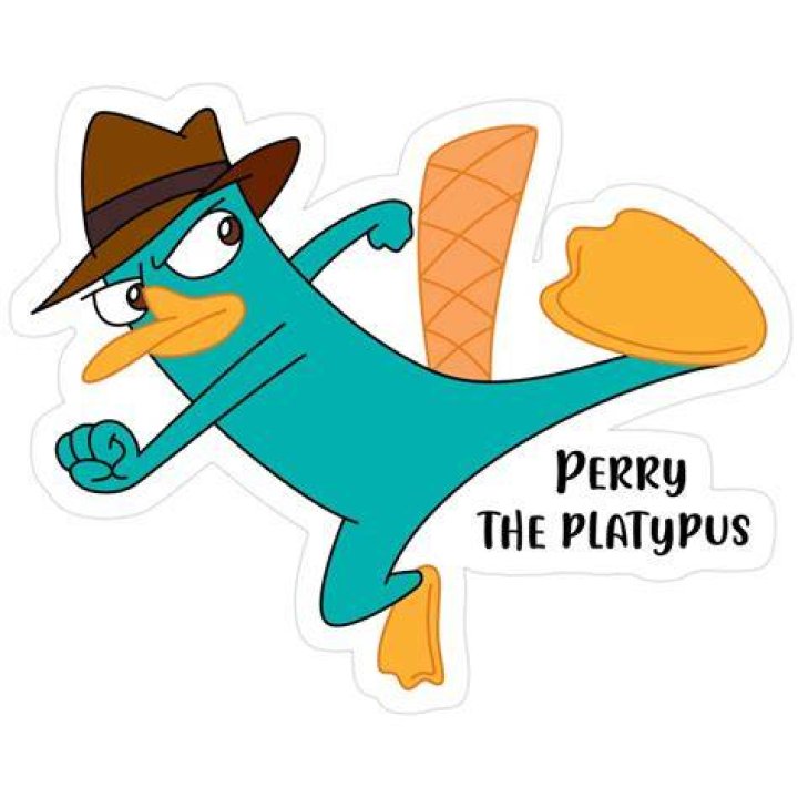 Is Perry the Platypus a boy? – Celebrity
